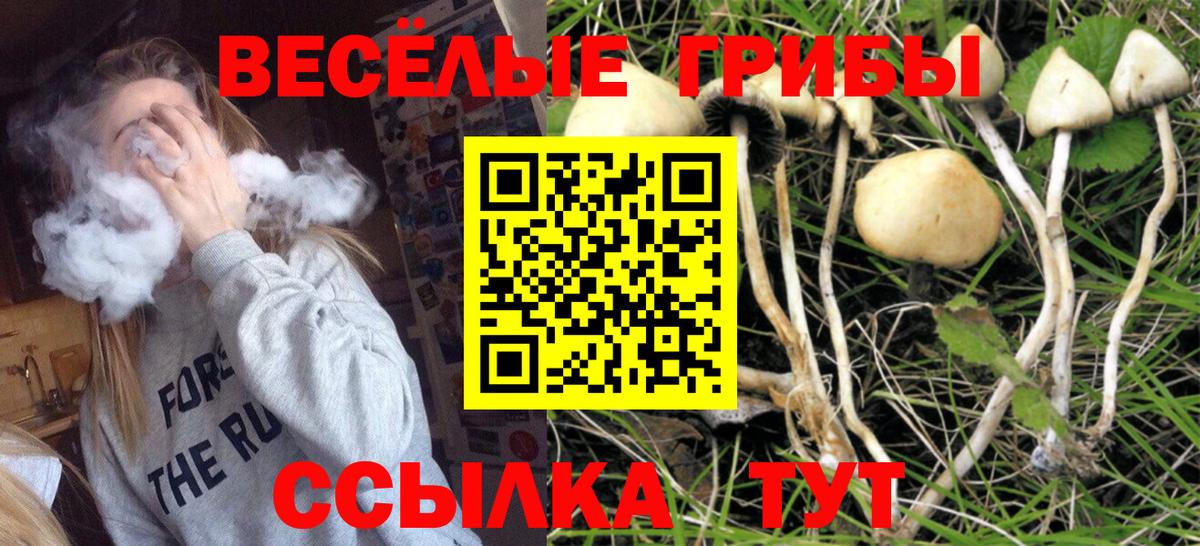 наркота  Галлюциногенные грибы MAGIC MUSHROOMS  Вход с VPN  Нижневартовск 